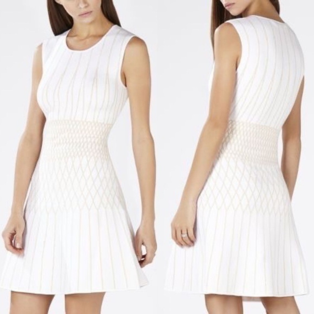 Bcbgmaxazria Sleeveless Wilma jacquard Work/Office sleeveless knit A Line Dress